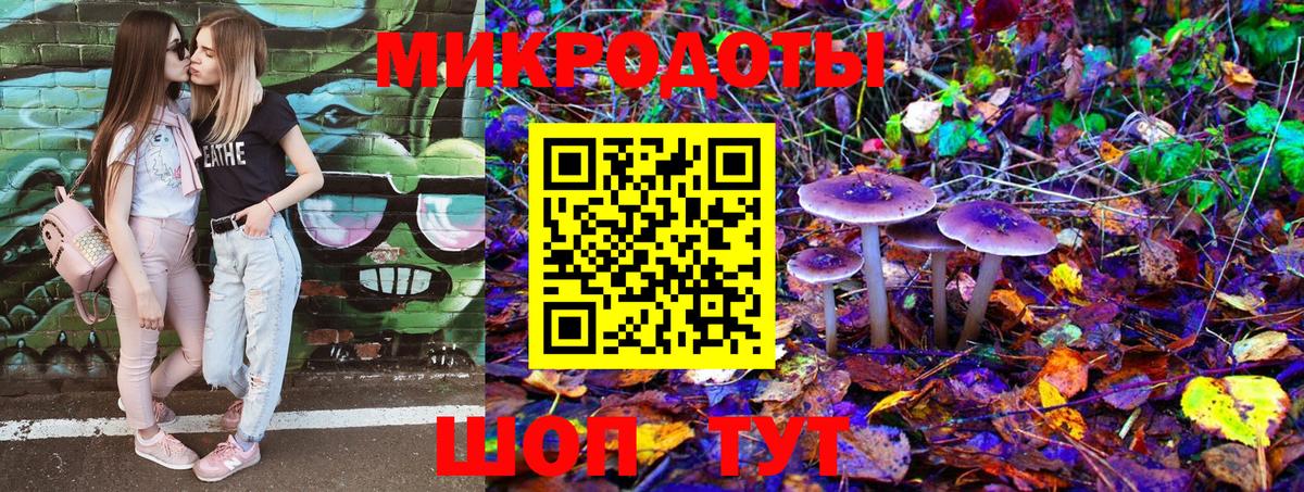 Псилоцибиновые грибы Psilocybe Набережные Челны